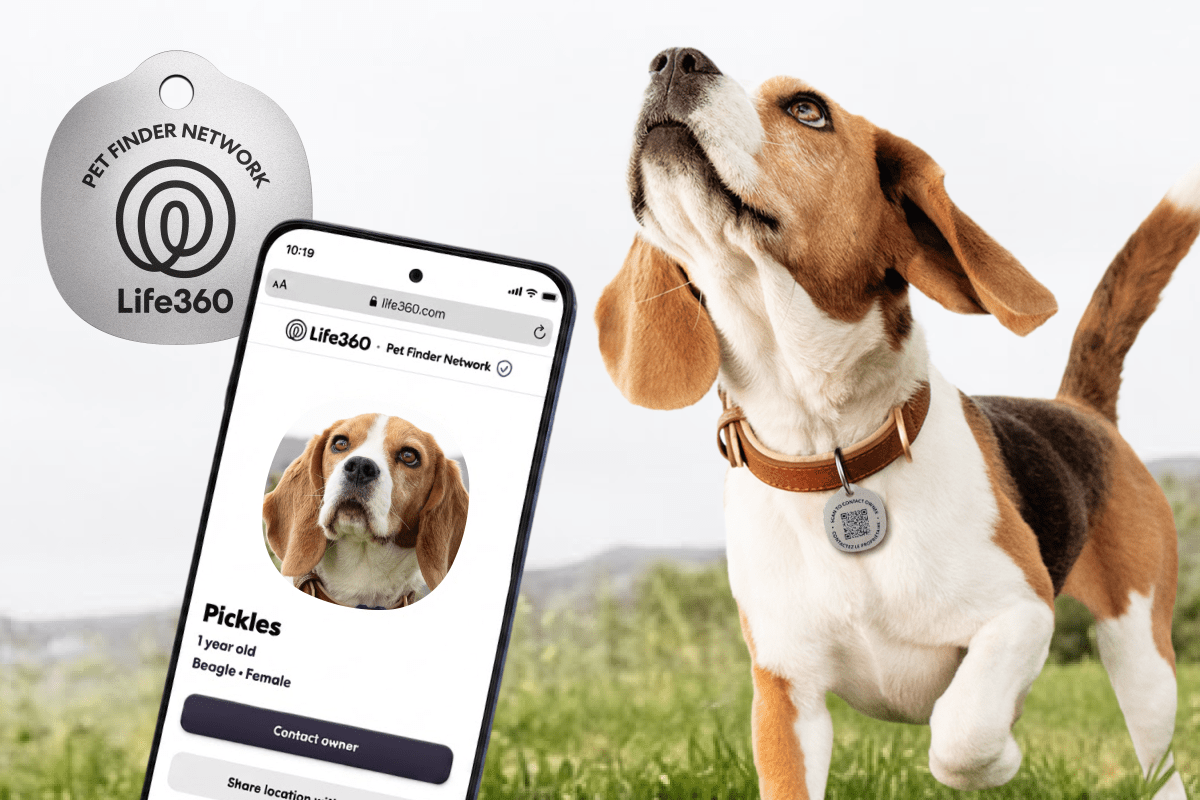 Life360 Enhances Pet Safety Ecosystem with Affordable Scannable Tags and Advanced Behavioral Alerts